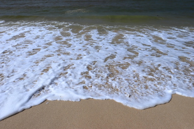 The beach in front of the house