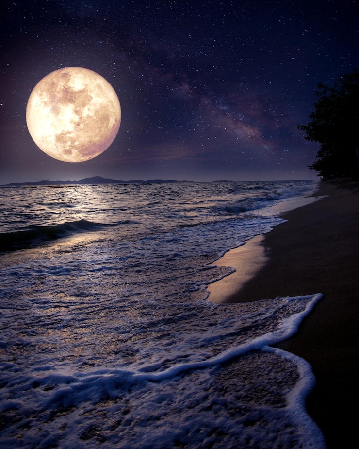 Photo beach and full moon