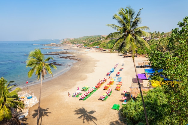 Photo beach in goa, india