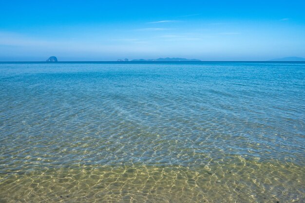 Foto la spiaggia dell'hotel del coronado