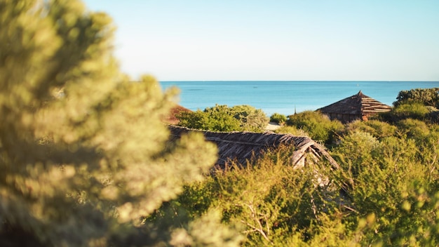 Beach houses straw roof tops visible through dense green trees, sea in background - tropical holiday resort.