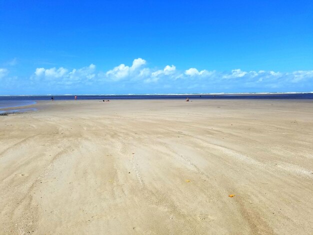 The beach is empty and the sky is blue