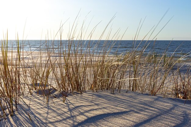 The beach is a popular place for beachgoers and visitors.