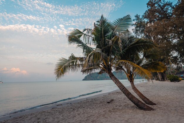 Beach on the island in the early morning