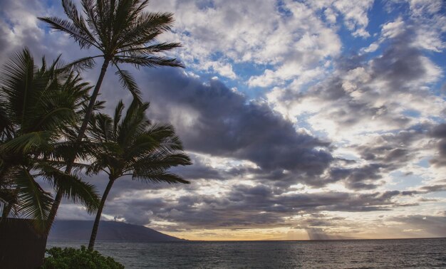 Beach on the Island of Maui Aloha Hawaii