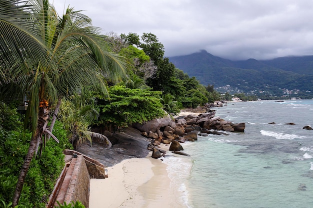 beach on an island with palm trees and mountains