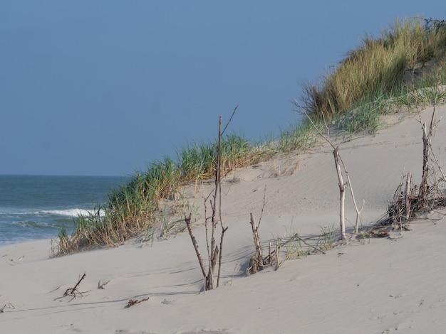 Photo beach of juist