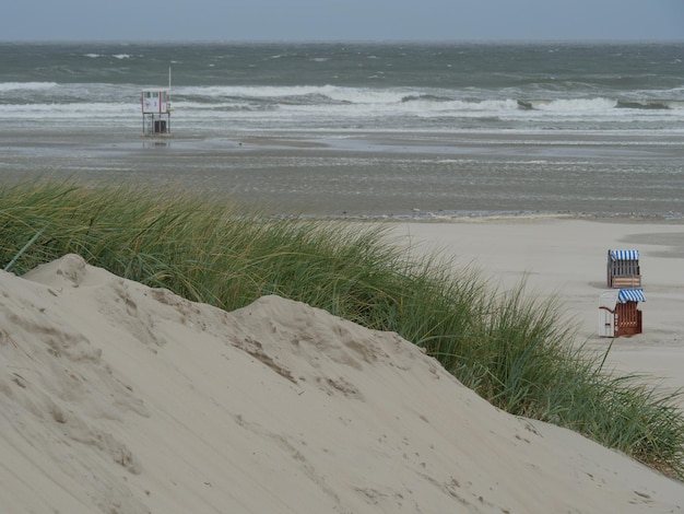 Photo the beach of juist