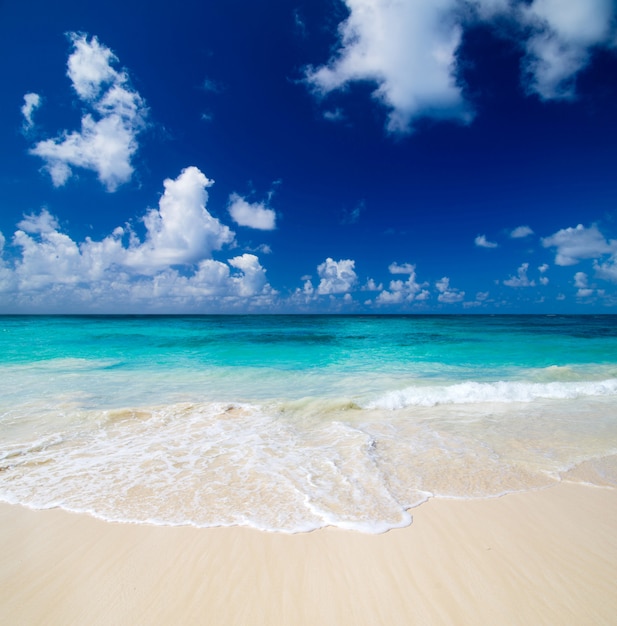 Paesaggio della spiaggia e cielo blu con nuvole bianche