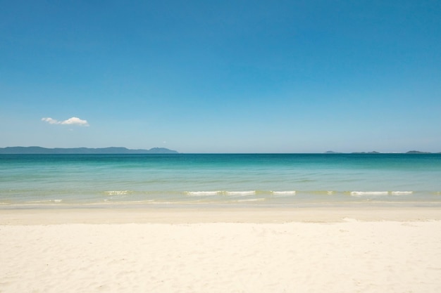 ビーチの風景 海岸線の波