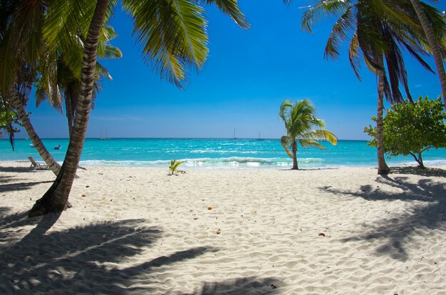 beach landscape