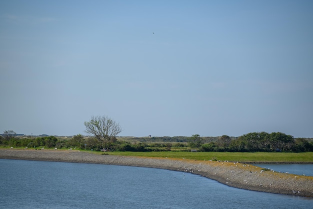 the beach of langeoog