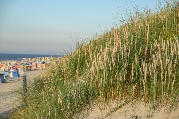 Photo beach of langeoog