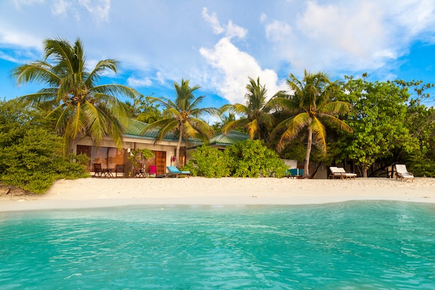 Beach in the Maldives with white sand and beautiful palm trees