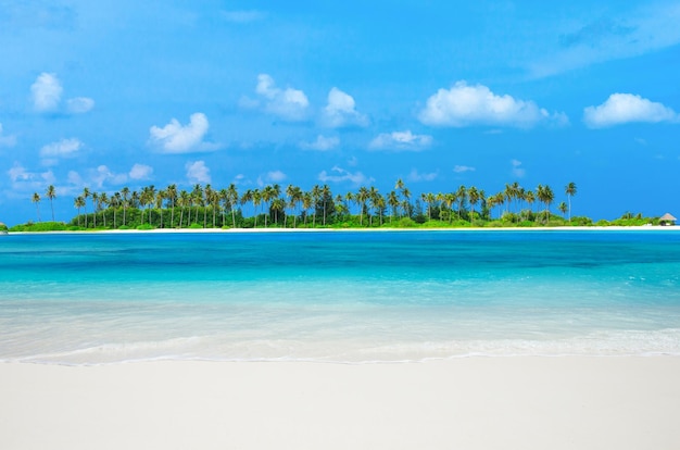 Beach in Maldives