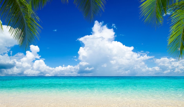 몰디브의 해변