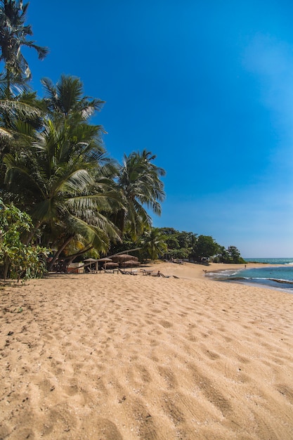 Beach at Matara, Sri Lanka