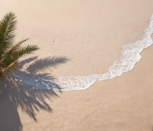 beach mockup background palm tree on the beach