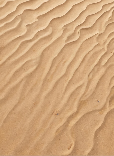 サハラ砂漠の砂丘の背景のビーチモックアップ