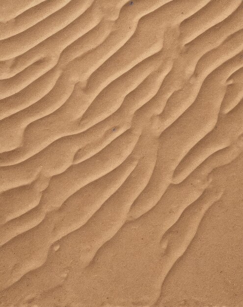 beach mockup background a sand dune with a small wave pattern