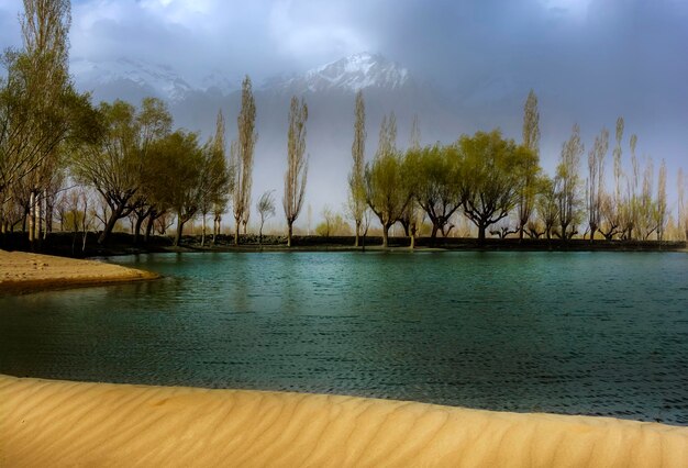 A beach in the mountains with trees and the water