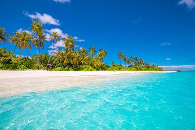 해변 자연 개념입니다. 팜 비치 라군 맑은 하늘 열 대 목가적인 낙원 섬입니다. 이국적인 풍경