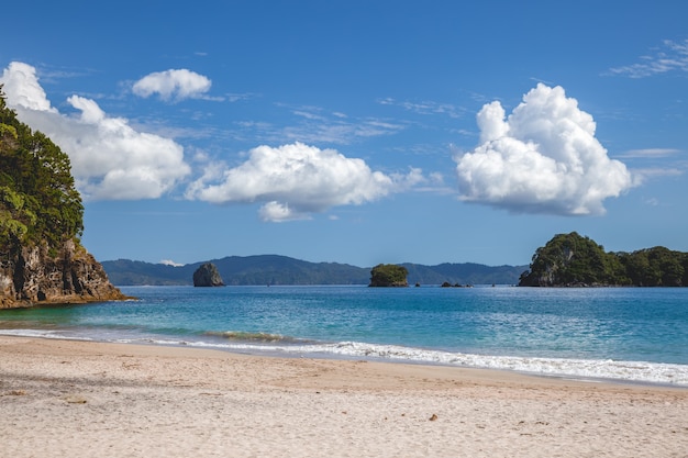 Beach near Hahei