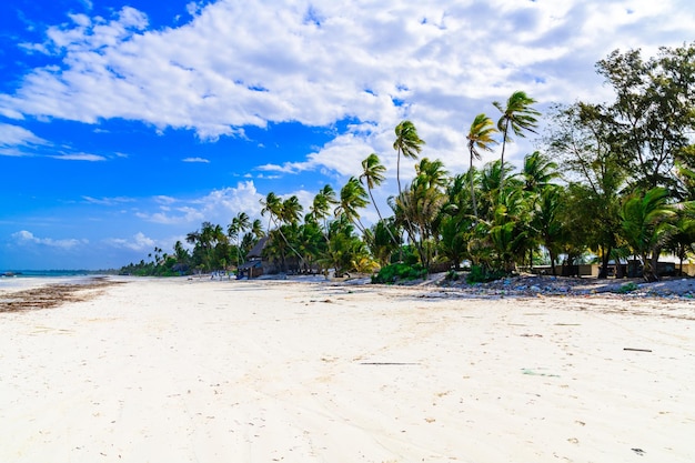 Spiaggia vicino al villaggio di matemwe sull'isola di zanzibar in tanzania