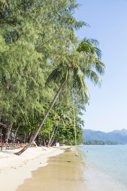 A beach at or near the resort