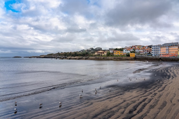 Beach in the north of Spain with seagulls in the sand playing with the waves Luanco Asturias