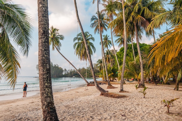 Beach and palm trees in the morning on the island