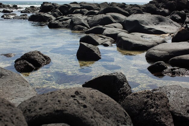 Photo beach pebble stone in the indian ocean