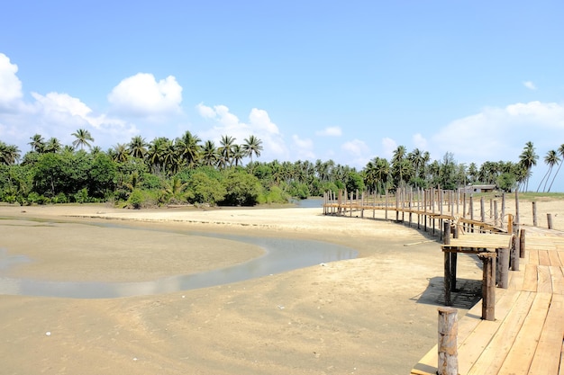 The beach at the resort