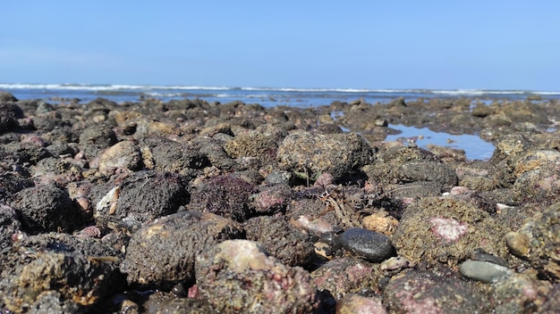 Photo beach rock