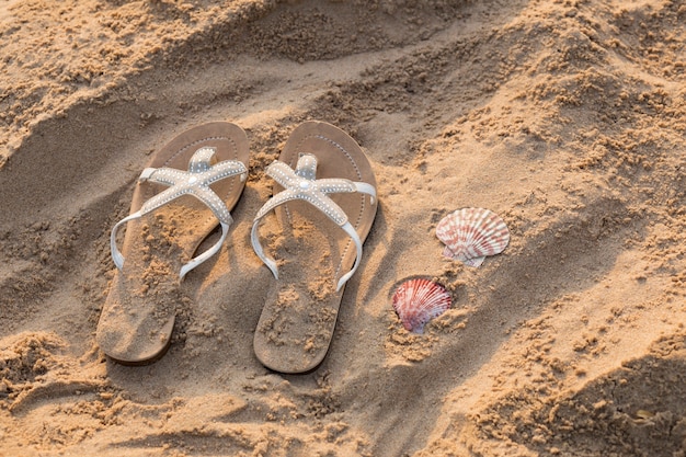 on the beach in the sand are slippers and shells are lying next to 