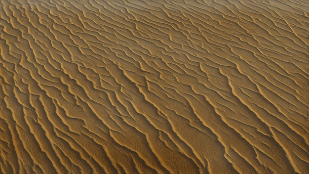 Beach sand background