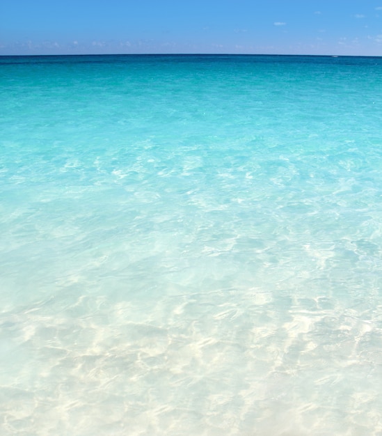 写真 ビーチ砂カリブ海ターコイズ