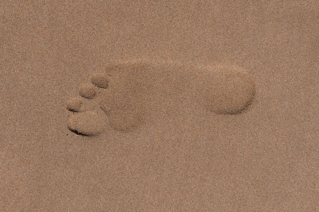 Beach sand footprint Tropical travel summer vacation holiday paradise background template Human steps on shore