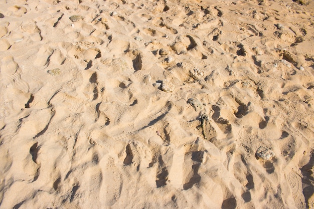 Beach sand macro close up