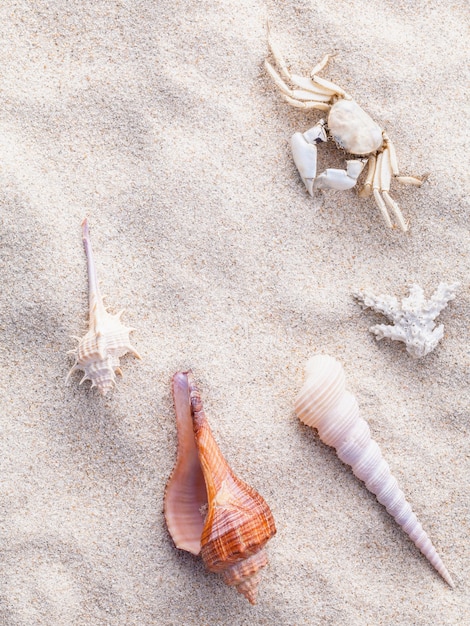 Foto spiaggia di sabbia per l'estate e il concetto di spiaggia.