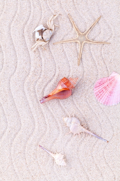 Foto spiaggia di sabbia per l'estate e il concetto di spiaggia.