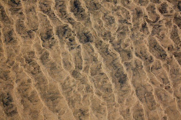 浜の砂のテクスチャフェルテベントゥラ島カナリア諸島