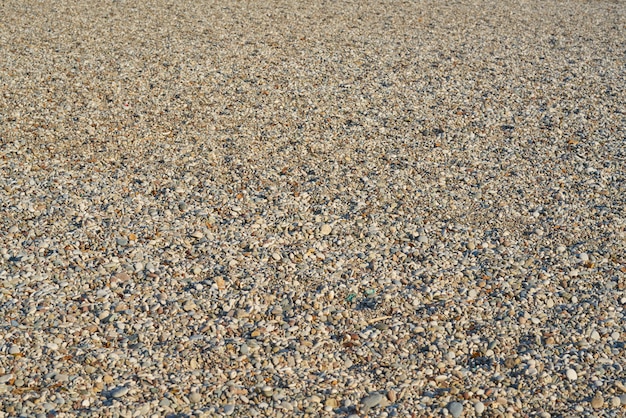 Beach sands background