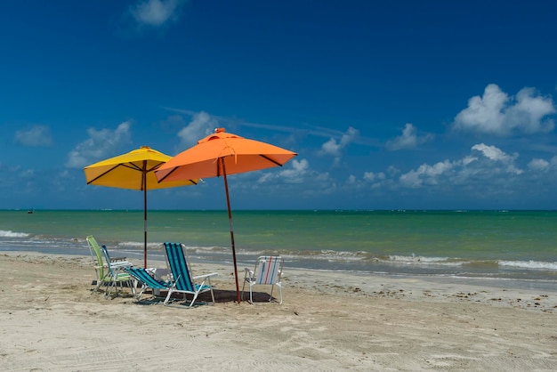 Beach Sao Miguel dos Milagres Alagoas Brazil Colorful umbrellas and chairs at Toque Beach