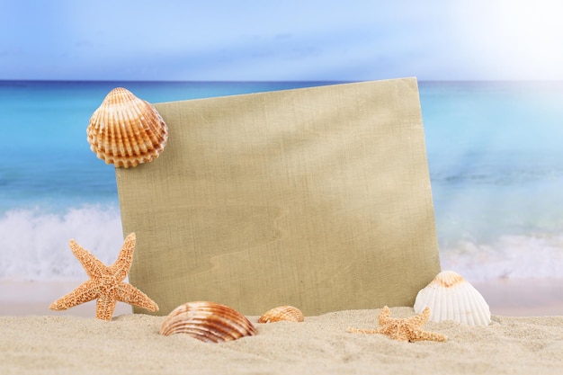 Beach scene in summer with sea shells stars and copyspace