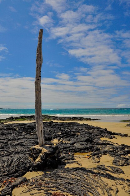 A Beach Scene