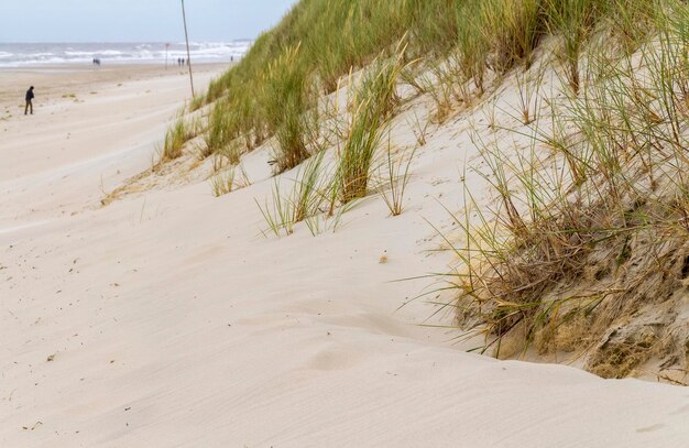 beach scenery at Spiekeroog