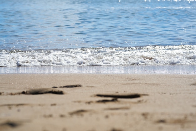 Sfondo spiaggia e mare