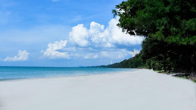 Beach sea sand ocean water wave coast sky