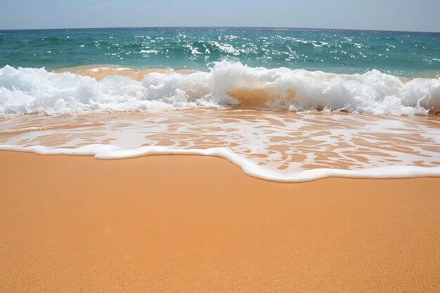 Beach sea sand and palm in summer day